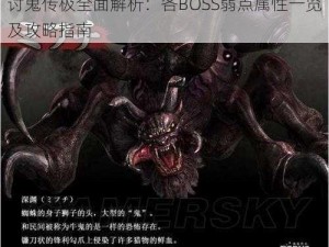 讨鬼传极全面解析：各BOSS弱点属性一览及攻略指南