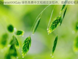 FreeChineseXXXGay 绿色免费中文视频交友软件，助你轻松拓展人脉