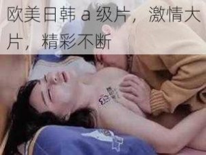 欧美日韩 a 级片，激情大片，精彩不断