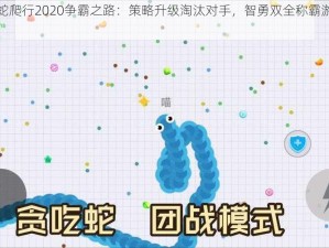 贪吃蛇爬行2020争霸之路：策略升级淘汰对手，智勇双全称霸游戏世界