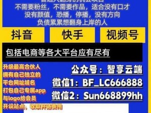 b 站推广网站入口 2024 的推广形式，高效便捷的网站推广方式