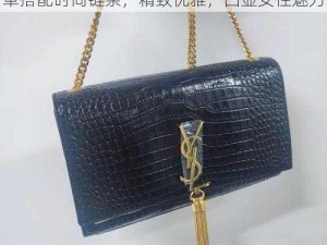 YSL 千色 T9T9T9 观看范围：高级皮革搭配时尚链条，精致优雅，凸显女性魅力