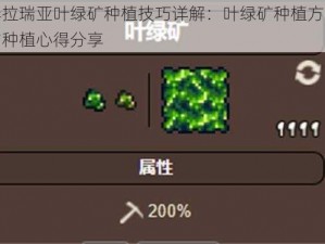 泰拉瑞亚叶绿矿种植技巧详解：叶绿矿种植方法与种植心得分享