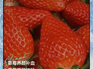 让我来迈开腿尝尝你的草莓什么意思，品尝鲜美多汁的草莓