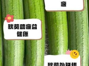 新鲜采摘的草莓、樱桃、丝瓜、绿巨人秋葵，口感鲜美，营养丰富