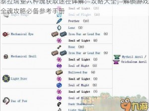 泰拉瑞亚六种魂获取途径详解：攻略大全，解锁游戏全魂攻略必备参考手册