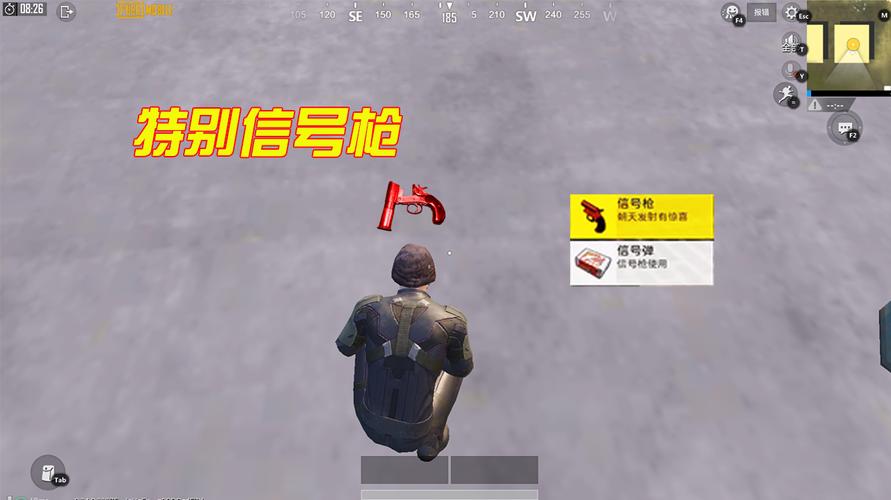 《绝地求生游戏攻略:详解查看枪上计数器的方法与技巧》