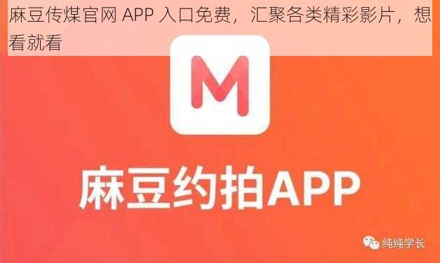 麻豆传煤官网 APP 入口免费，汇聚各类精彩影片，想看就看