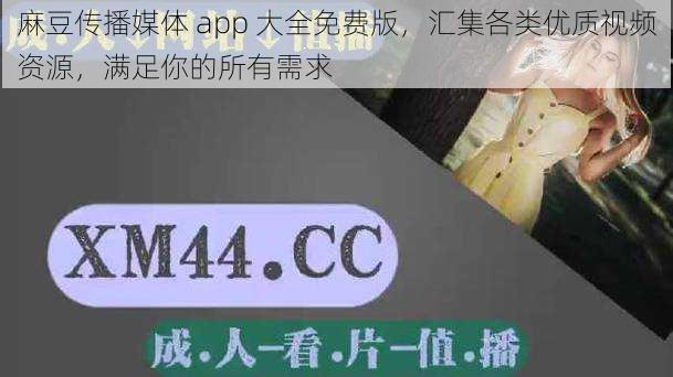 麻豆传播媒体 app 大全免费版，汇集各类优质视频资源，满足你的所有需求