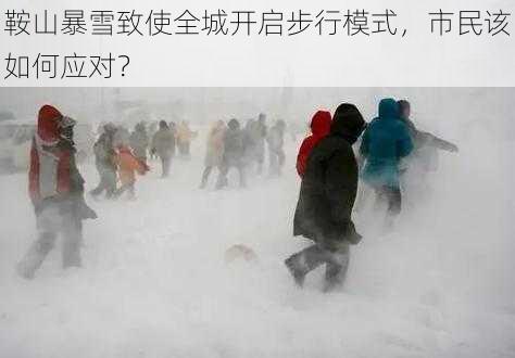 鞍山暴雪致使全城开启步行模式，市民该如何应对？