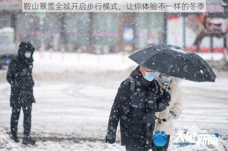 鞍山暴雪全城开启步行模式，让你体验不一样的冬季