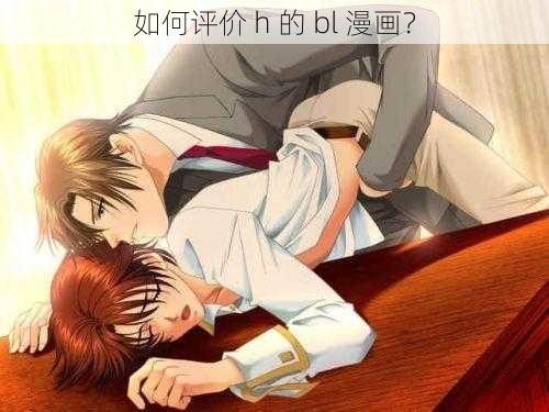 如何评价 h 的 bl 漫画？