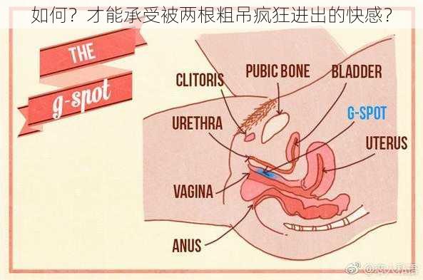 如何？才能承受被两根粗吊疯狂进出的快感？