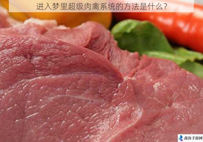 进入梦里超级肉禽系统的方法是什么？