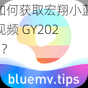 如何获取宏翔小蓝视频 GY2023？