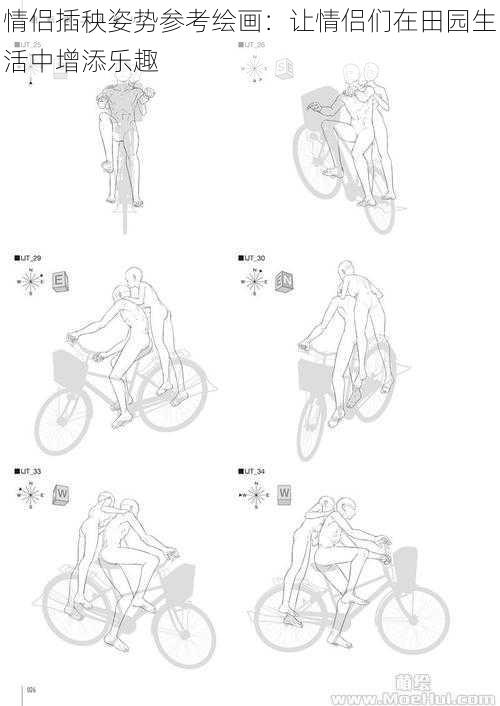 情侣插秧姿势参考绘画：让情侣们在田园生活中增添乐趣