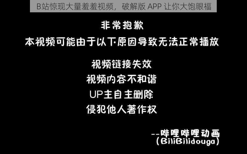 B站惊现大量羞羞视频，破解版 APP 让你大饱眼福