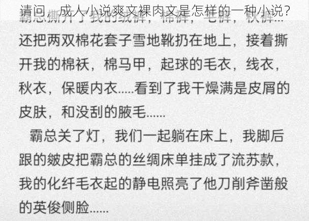 请问，成人小说爽文裸肉文是怎样的一种小说？