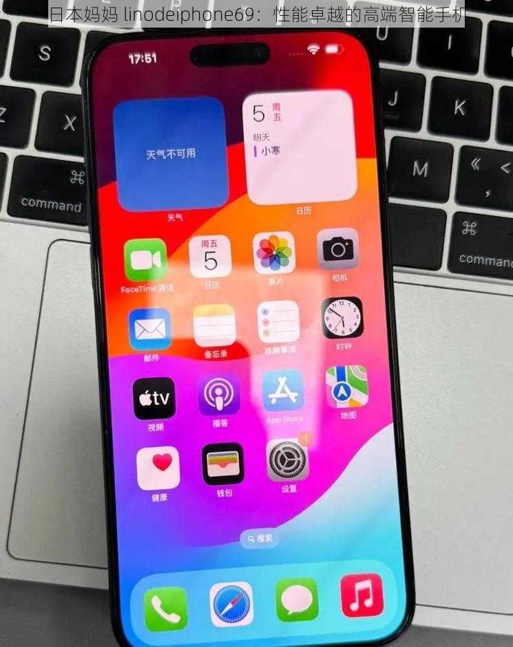 日本妈妈 linodeiphone69：性能卓越的高端智能手机