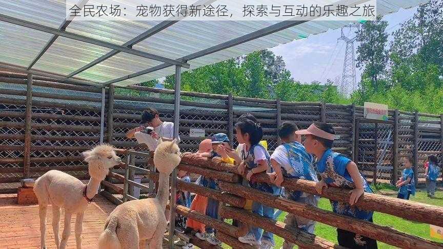 全民农场：宠物获得新途径，探索与互动的乐趣之旅