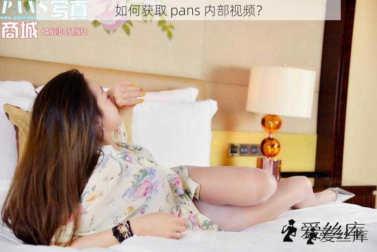 如何获取 pans 内部视频？