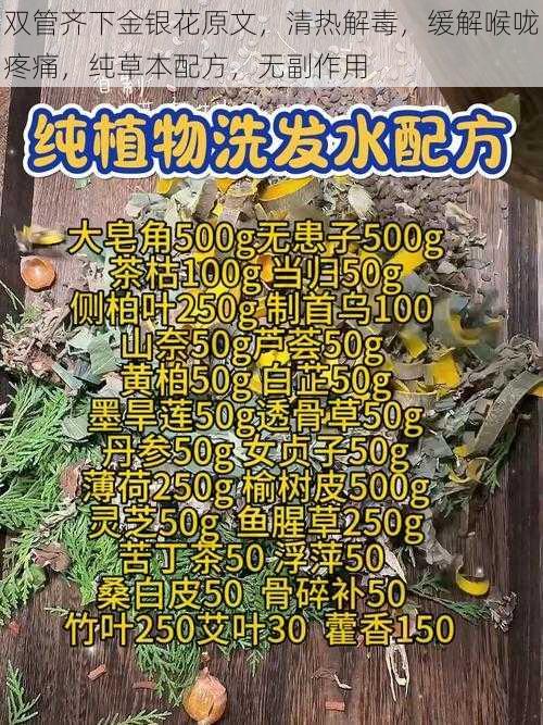 双管齐下金银花原文，清热解毒，缓解喉咙疼痛，纯草本配方，无副作用