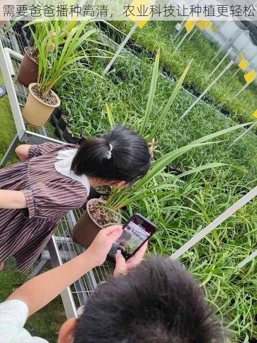 需要爸爸播种高清，农业科技让种植更轻松