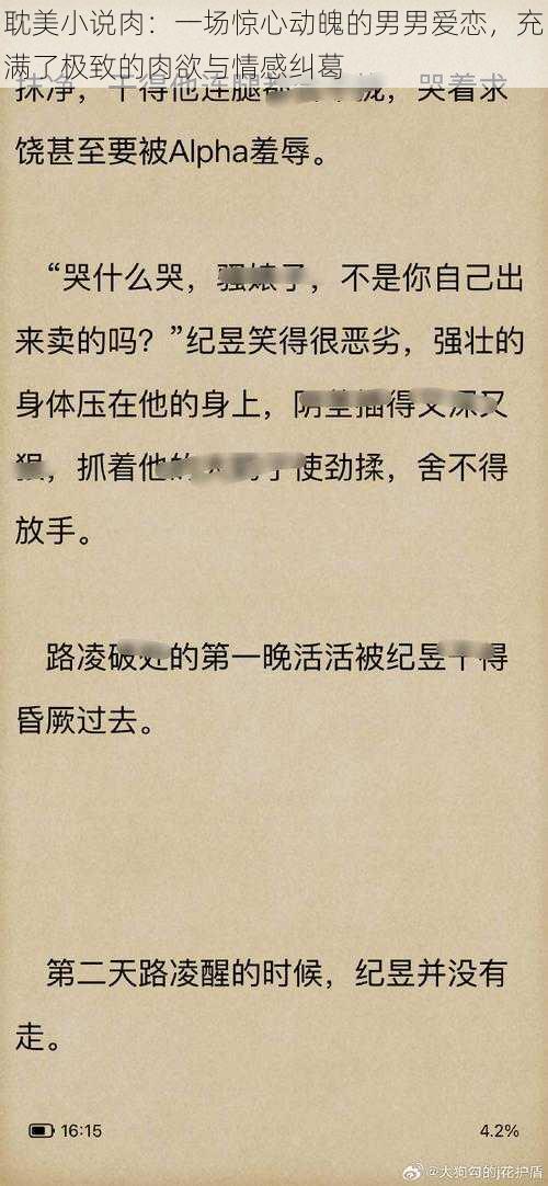 耽美小说肉：一场惊心动魄的男男爱恋，充满了极致的肉欲与情感纠葛