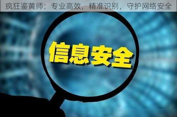 疯狂鉴黄师：专业高效，精准识别，守护网络安全