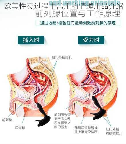 欧美性交过程中常用的情趣用品介绍