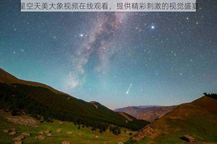 星空天美大象视频在线观看，提供精彩刺激的视觉盛宴