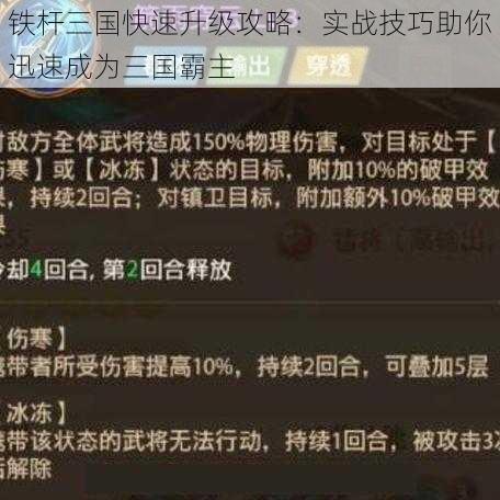 铁杆三国快速升级攻略：实战技巧助你迅速成为三国霸主