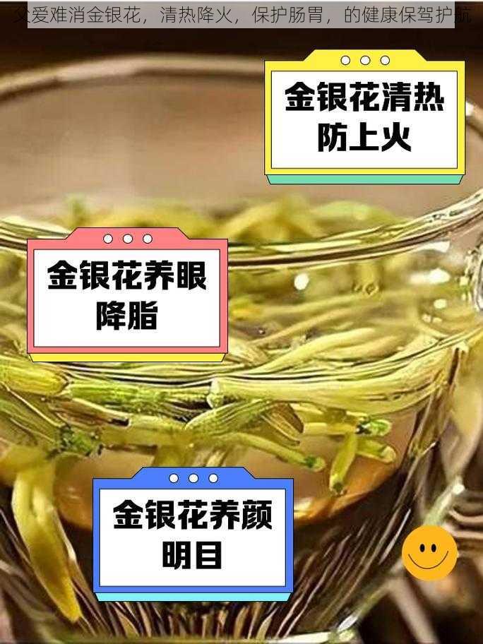 父爱难消金银花，清热降火，保护肠胃，的健康保驾护航