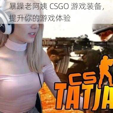 暴躁老阿姨 CSGO 游戏装备，提升你的游戏体验