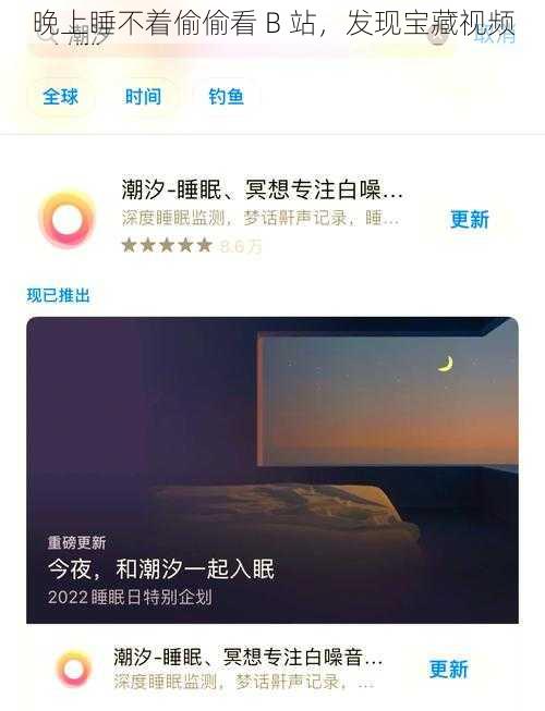 晚上睡不着偷偷看 B 站，发现宝藏视频