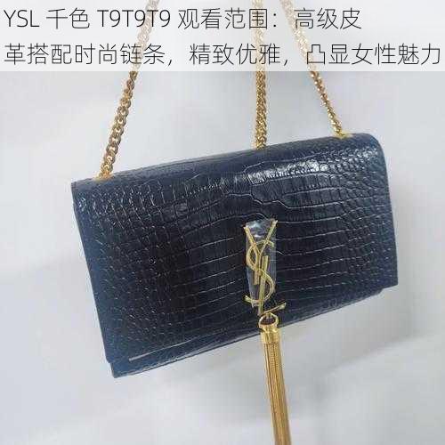 YSL 千色 T9T9T9 观看范围：高级皮革搭配时尚链条，精致优雅，凸显女性魅力