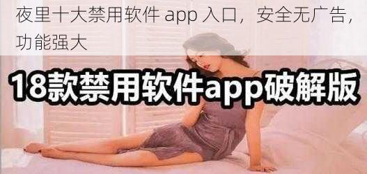 夜里十大禁用软件 app 入口，安全无广告，功能强大