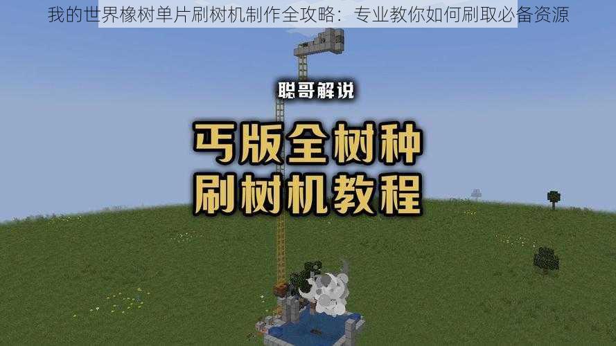 我的世界橡树单片刷树机制作全攻略：专业教你如何刷取必备资源