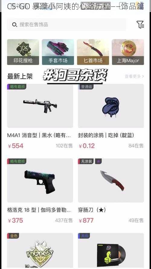 CS-GO 暴躁小阿姨的心路历程——饰品篇