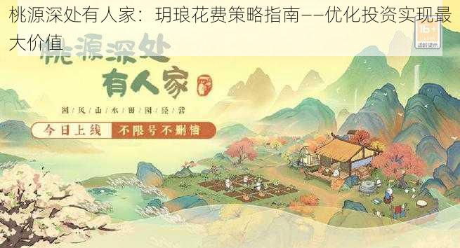 桃源深处有人家：玥琅花费策略指南——优化投资实现最大价值