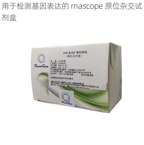 用于检测基因表达的 rnascope 原位杂交试剂盒