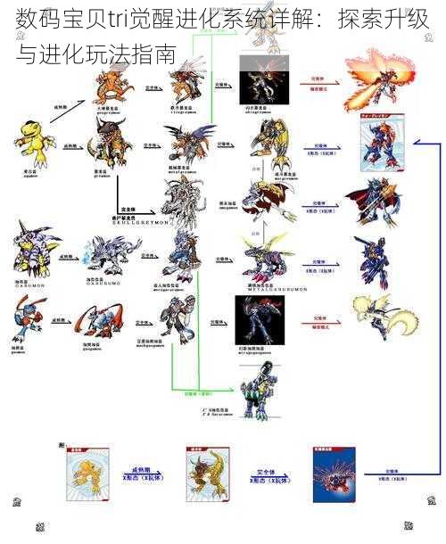 数码宝贝tri觉醒进化系统详解：探索升级与进化玩法指南