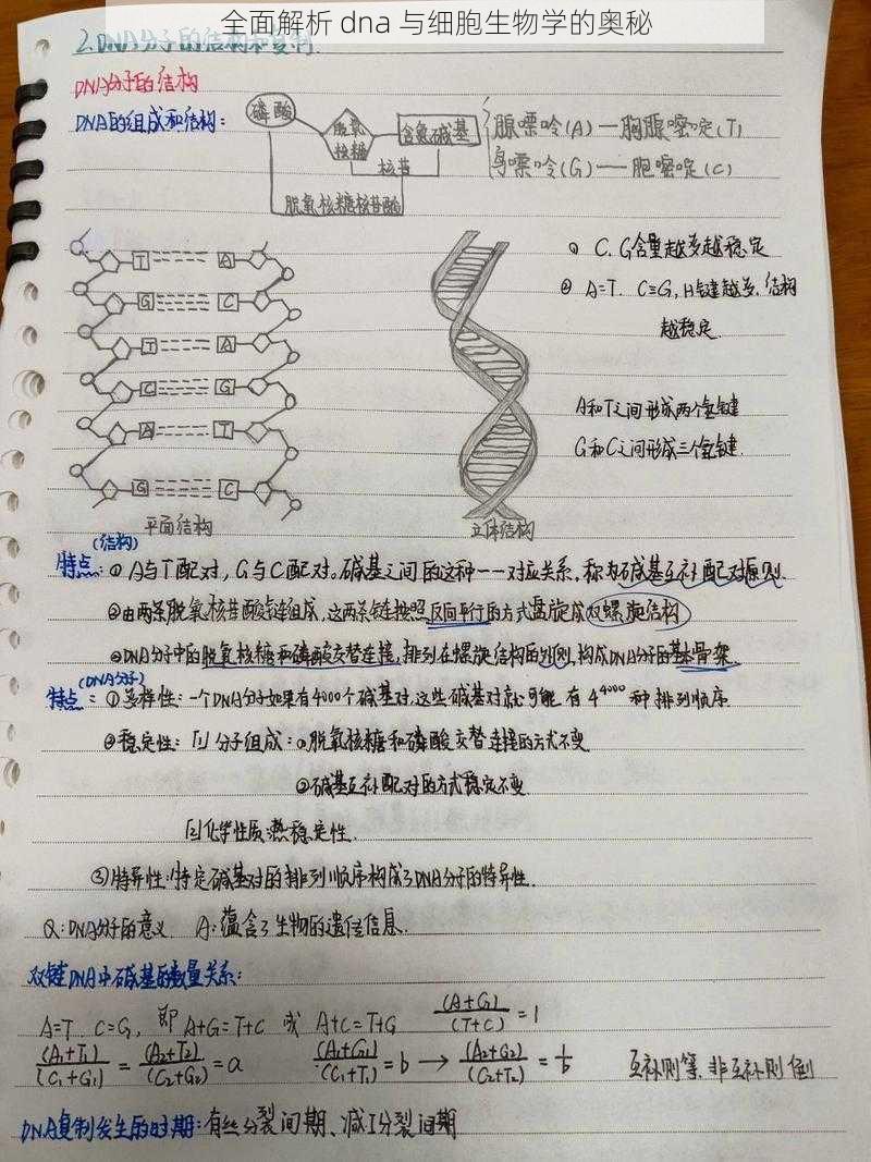 全面解析 dna 与细胞生物学的奥秘