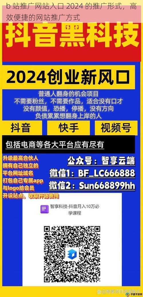 b 站推广网站入口 2024 的推广形式，高效便捷的网站推广方式